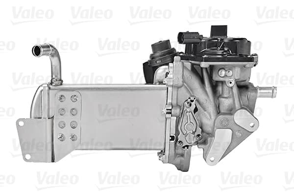Egr Valfi Cjca-Caga