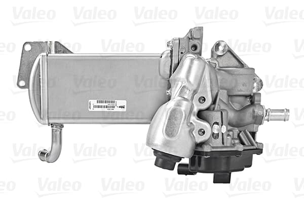 Egr Valfi Cjca-Caga