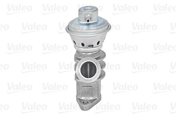 Egr Valfi