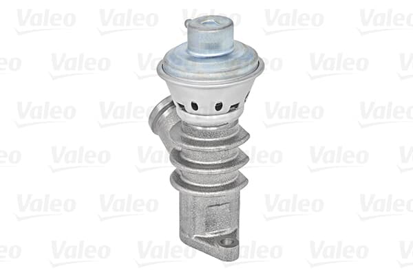 Egr Valfi