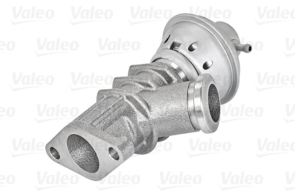Egr Valfi