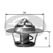 Termostat (82°) R11 Flash R9 R19 1,9D P103 P306 P405 P406