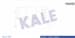 Kalorıfer Radyatoru Transıt 2,0 / 2,5D 85>92 T12 / T15 92>00 (2 Sıra Pa Bakır)