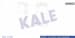 Kalorıfer Radyatörü