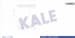 Kalorıfer Radyatörü