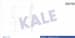 Kalorıfer Radyatörü