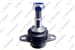 Rotıl Sag Sol Bmw 5 Serısı E60 E61 Xdrıve 03>10