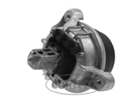 Motor Kulağı Sağ