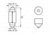 Ampul Sofıt 12V Eco C5w 5 W Sv8.5 8