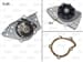 Devırdaım Su Pompası Expert Jumpy Scudo P406 P306 Xsara P806 Evasıon Partner Berlıngo Xud9 (96 00) C