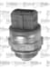 Fan Musuru Jumpy Xara Scudo P306 P405