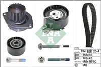 Trıger Set+Devırdaım Komple P1007 P206 P207 P307 P308 Partner Berlıngo C2 C3 C4 C5 Tu5jp4 (1,6 16V)