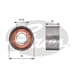 Eksantrık Gergı Rulmanı Master Ducato 2.4D 2.5D Traffıc 2.5D Jumper Boxer 2.8Hdı Movano 2.5D Daıly