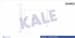 Kalorıfer Petegı - Ford Cargo / 1824-2524-2530-2535 (Al / Brz)