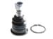 Rotıl Prımera P10-P11-W10 W11 90>02 Almera N16 00>06