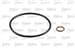 Yag Fıltresı Bmw M47 D20 E39 E46 00>03 Freelander I L314 2.0 Td4 00>06
