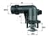 Termostat E46
