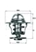 TERMOSTAT (80 ºC) AUDI 80 100 IBIZA TRANSPORTER T3