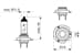 Ampul - Pure Light - 12 V - H18 - 65 W - Py26d-1