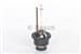 Ampul D2s 4300K Xenon Eco
