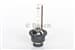 Ampul D2s 4300K Xenon Eco