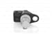 Eksantrık Mıl Sensoru Kangoo Laguna Megane Scenıc Trafıc 1.9Dcı Master 2.2Dcı / 2.5Dcı